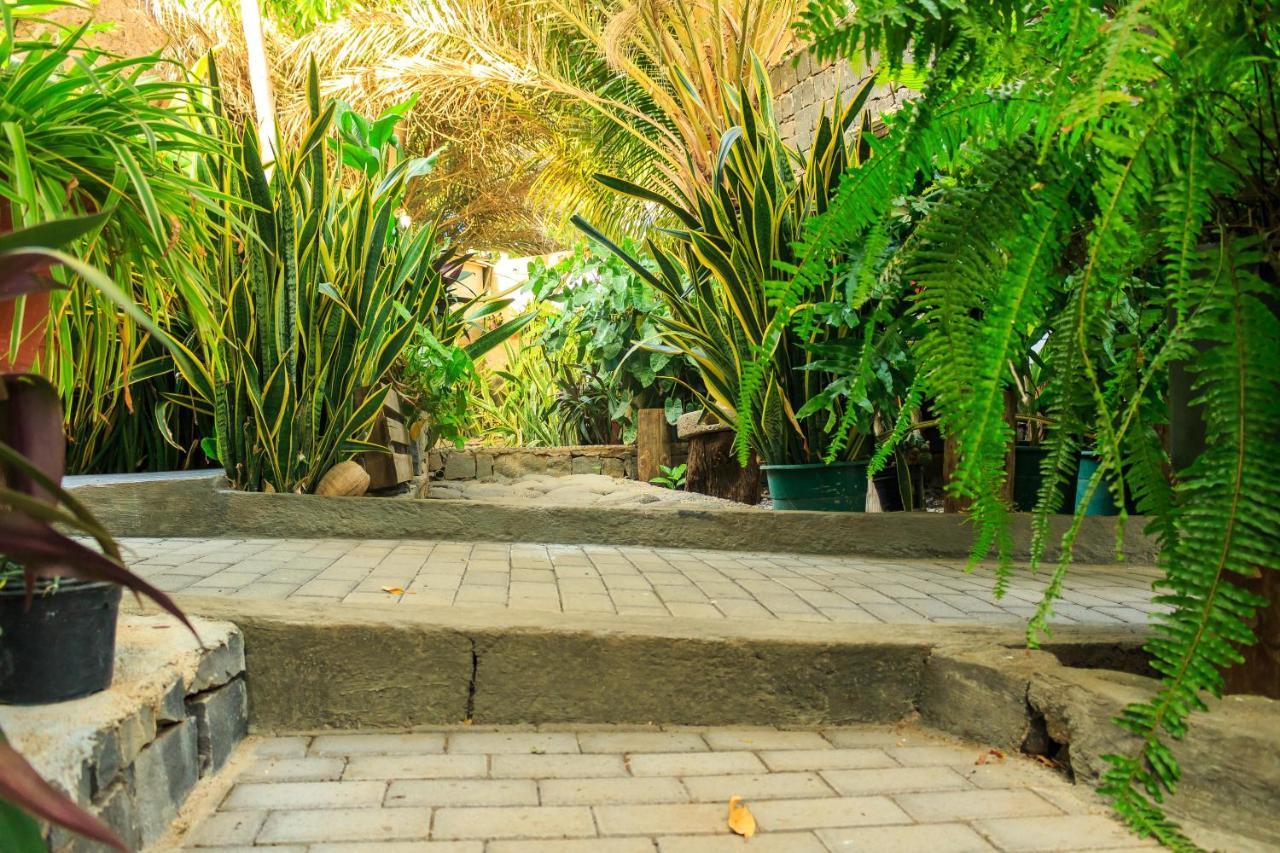 Pousada Quinta Ribeirinha Cidade Velha Exteriör bild